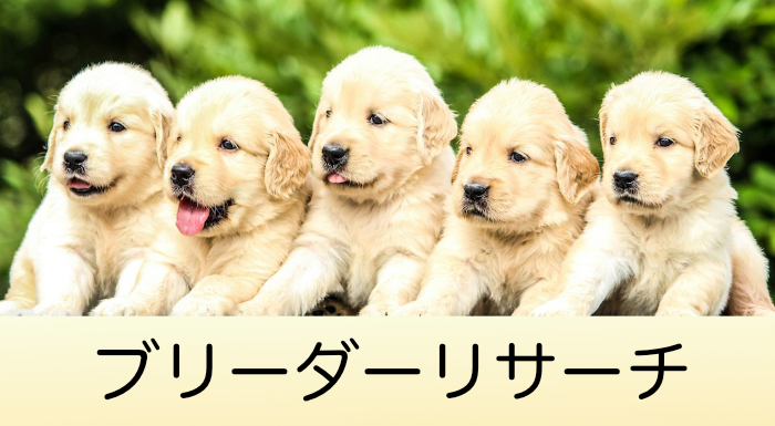 おすすめ
